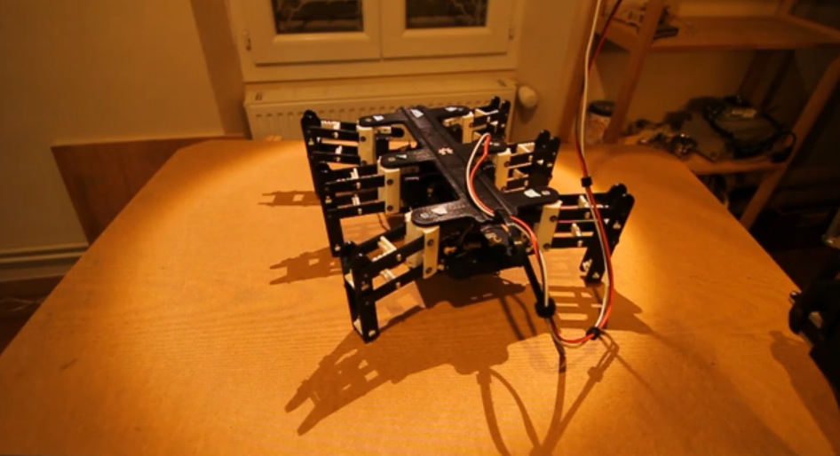 bleuette hexapod robot