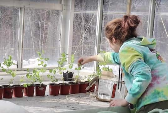 Building an automated greenhouse at White Mountains High School